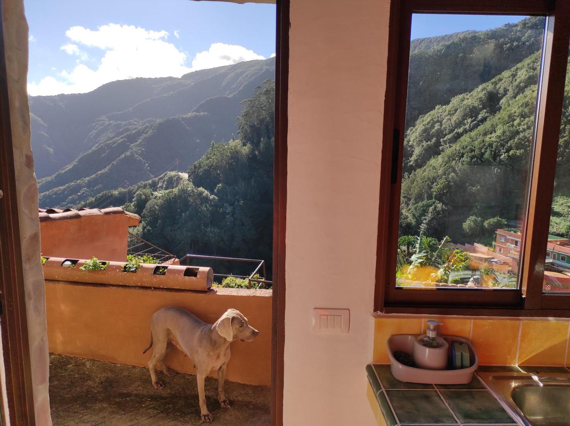 Casa Las Montanas De Anaga La Laguna  Eksteriør billede